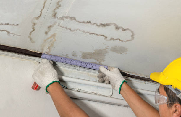 Reliable Mold Remediation contractor in Bat Cave, NC by Local Water Damage Repair